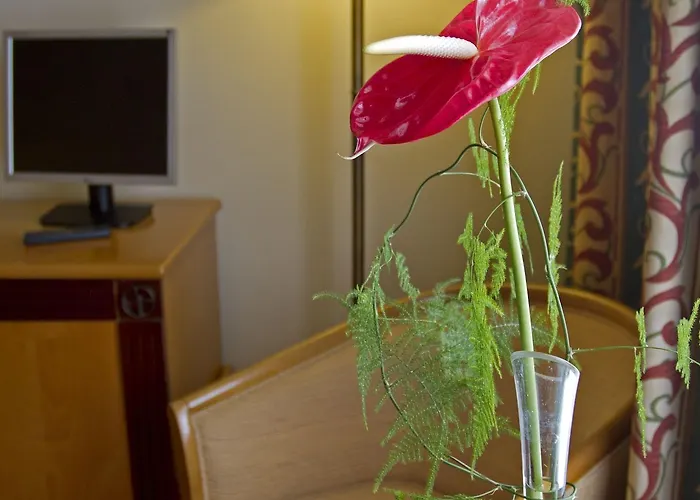 Quinta Bela S Tiago Hotel