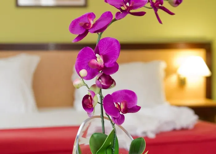 Hotel Quinta Bela S Tiago Funchal (Madeira)