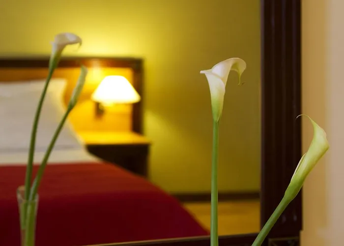 Quinta Bela S Tiago Hotel Funchal (Madeira)